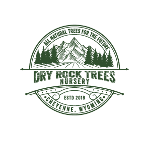 Dry Rock Trees Nursery - All Natural Evergreen Trees & Shrubs for Sale