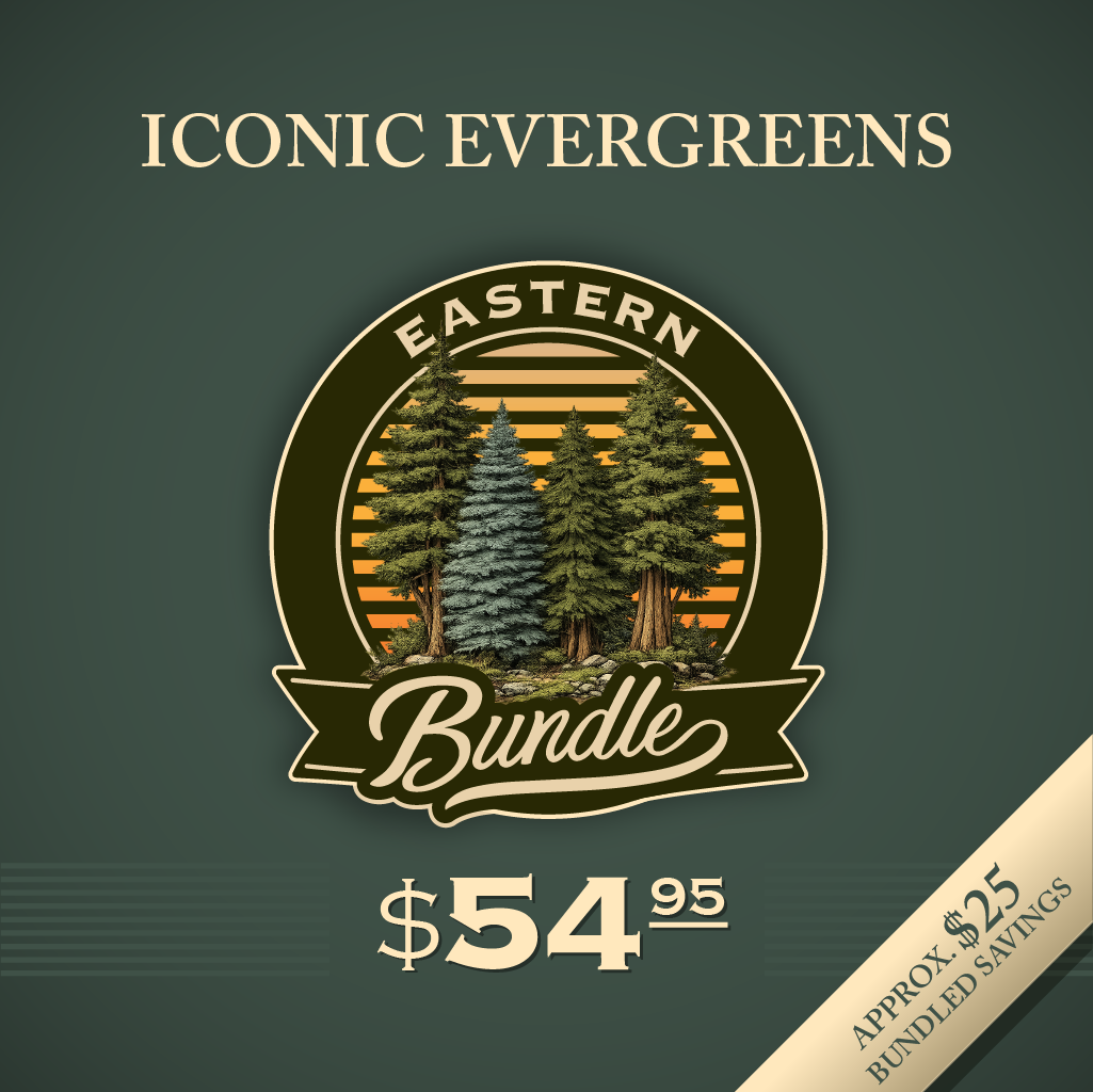Promotional graphic for 'Iconic Evergreens Eastern Bundle' with trees and price on a green background